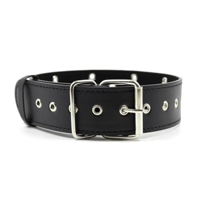 Lovegasm Anal Subs Trendy Perforated Black Collar
