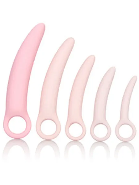 CalExotics Female Sex Toys Inspire Silicone Dilator 5 Piece Set