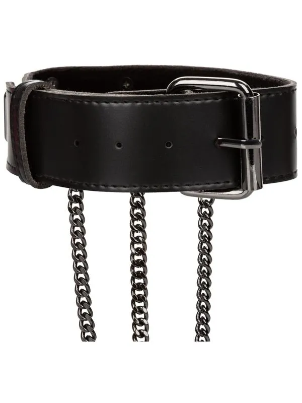 CalExotics Plus Size Euphoria Collection Plus Size Multi Chain Collar Harness CalExotics Plus Size Euphoria Collection Plus Size Multi Chain Collar Harness