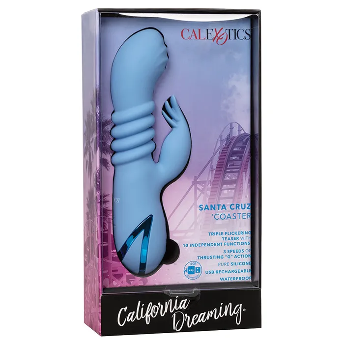 Holiday Vibrators California Dreaming Santa Cruz Coaster